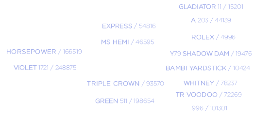 Front Runner Pedigree