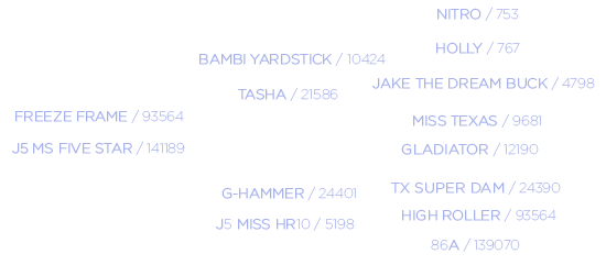High Heat Pedigree
