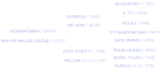 Major Laegue Pedigree