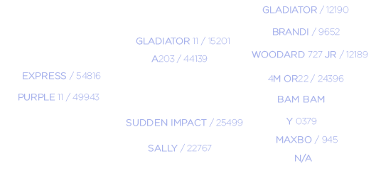 Sudden Express Pedigree