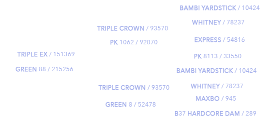 War Admiral Pedigree